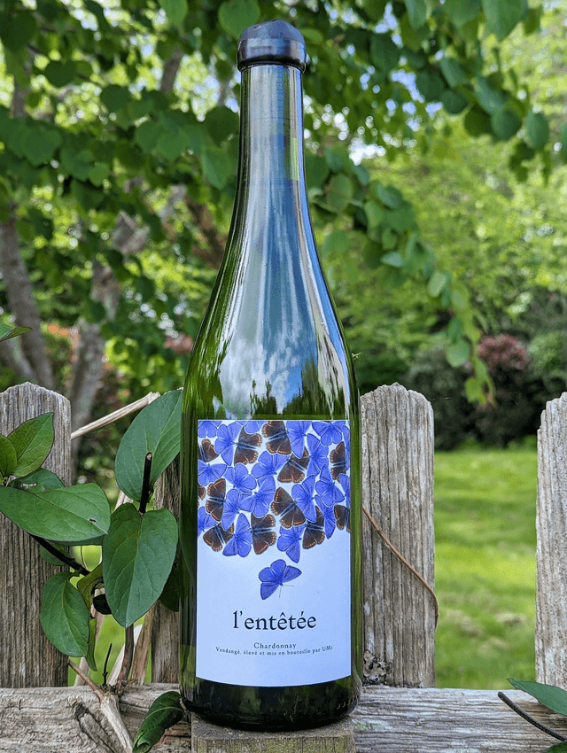 L&#039;entêtée